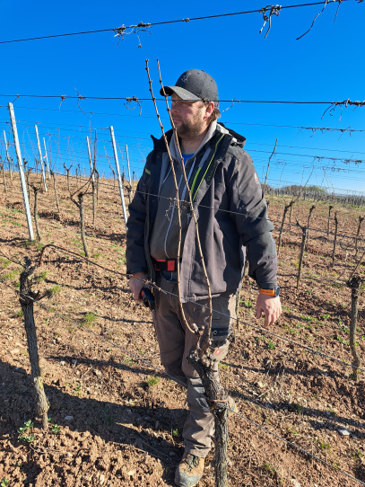 un homme dans les vignes